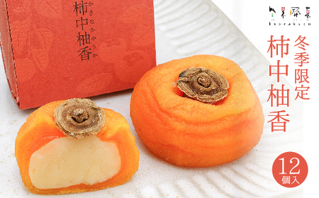 y~Gzy u`MiȂ䂤jv i12j aَq ܂񂶂イ \ ۊ` ` 018007