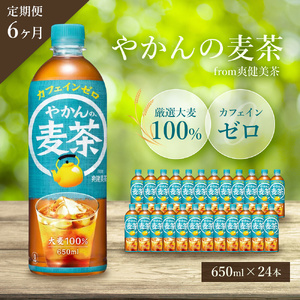 [6か月定期便]やかんの麦茶 from 爽健美茶 PET 650ml×24本(1ケース) ペットボトル お茶 むぎ茶 飲料 カフェインゼロ 箱買い まとめ買い 防災 備蓄 014009