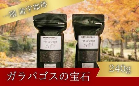 一隅 遊学珈琲 ガラパゴスの宝石 Jewels of Miconia(計240g)アームズメソッド 焙煎 (登録商標) 広島 三原 コーヒー 焙煎 豆