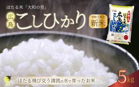 sߘa7NVātقāua̗vLЂ  5kg    ߘa7NY 066001