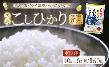 sߘa7NVāty6ցzقāua̗vLЂ  10kgi5kg×2j    ߘa7NY 066006