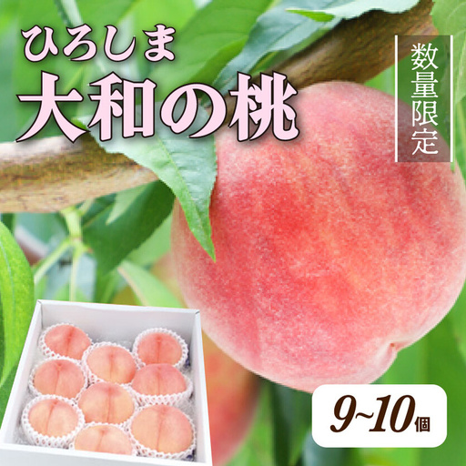 【先行受付】数量限定☆ 部谷桃園 ひろしま大和の桃 9～10個セット 2026年7月下旬以降発送予定 果物 フルーツ デザート 食後 旬の桃 旬の果物 旬のフルーツ 新鮮 夏 夏の果物 067002