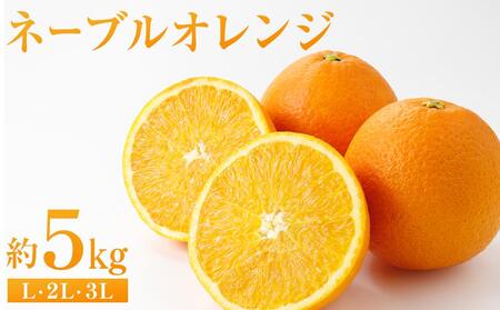 l[uIW 5kgiLE2LE3Ljy2026N2甭Jnz