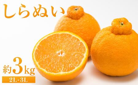 ʂ 3kgi2LE3Ljy 2026N2{甭zy݂ k ʂ sm L sz