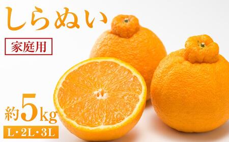 ʂ 5kgiƒpjy2026N2甭zy݂ k ʂ sm L sz