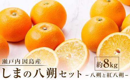 しまの八朔セット約8kg(Mサイズ程度 約30個 紅八朔と八朔)[2026年1月下旬から発送]