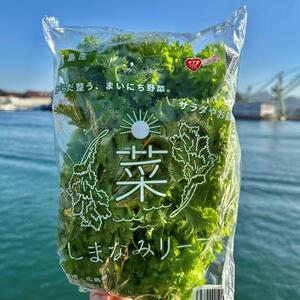 ܂Ȃ݃[t8܁@i1140w8܁j2025N11{甭