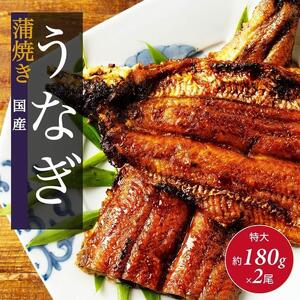 国産 うなぎの蒲焼き 特大 180g×2尾 タレ・山椒付［3-4人前］
