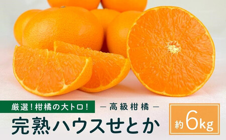 k̑gInnEXƂ  6kg 2026N2{`\
