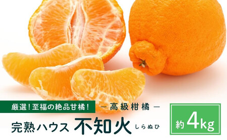 越冬完熟しらぬひ4kg 3月上旬～｜みかん 柑橘 しらぬい 不知火 しらぬい 尾道市