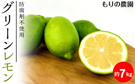 y瑡zS̍YO[7kg 2025N10{蔭\