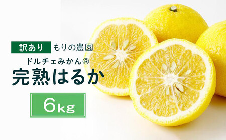 y󂠂zn͂邩 6kg h`F݂ 2026N2{蔭\
