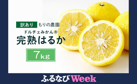【ふるなびWEEK対象】【訳あり】完熟はるか 7kg ドルチェみかん 2026年2月中旬より発送予定 FN-Limited