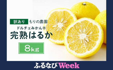 【ふるなびWEEK対象】【訳あり】完熟はるか 8kg ドルチェみかん 2026年2月中旬より発送予定 FN-Limited