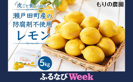 yӂȂWEEKΏہzy瑡zS̍Y5kg 2026N115菇 FN-Limited