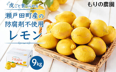 y瑡zS̍Y9kg 2026N115菇