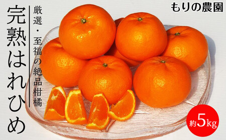 ͂Ђ߁ů݂Â݁vƁuIW̍v̐ViI5kg