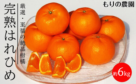 ͂Ђ߁ů݂Â݁vƁuIW̍v̐ViI6kg