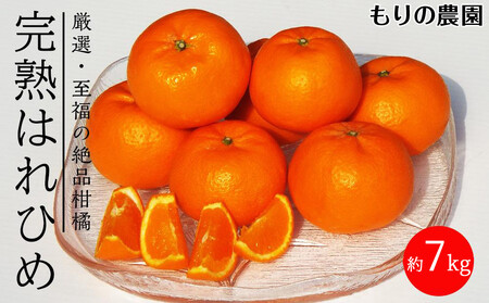 ͂Ђ߁ů݂Â݁vƁuIW̍v̐ViI7kg