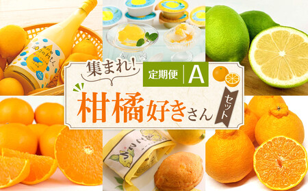 定期便A〜集まれ!柑橘好きさんセット〜[10月〜3月まで毎月発送]