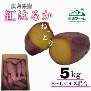 (g͂邩) 5kgiTCYS`Lj