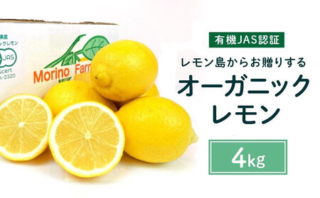 yL@JASF؁z炨肷I[KjbN 4kg L@ 2026N2ȍ~\ Y Y L@͔|