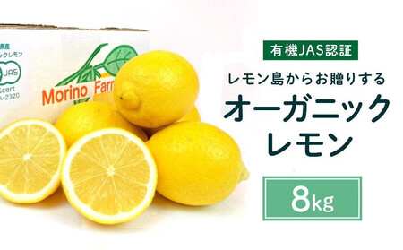 yL@JASF؁z炨肷I[KjbN 8kg L@ 2026N2ȍ~\ Y Y L@͔|