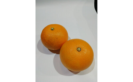 [訳あり]紅八朔 家庭用 5kg Mサイズ