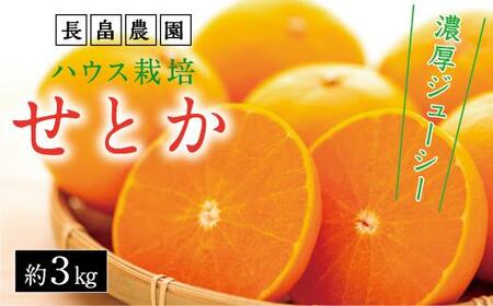 濃厚・ジューシー！ハウス栽培せとか 約3kg 化粧箱入り＜2025年2月下旬より発送開始＞【瀬戸内産せとか せとか 柑橘 みかん ハウスせとか せとかせとか】