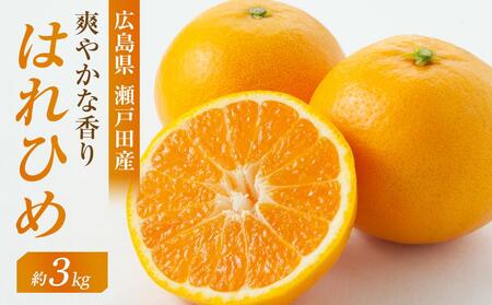 爽やかな香り!! はれひめ 3kg [2025年12月下旬より発送開始]