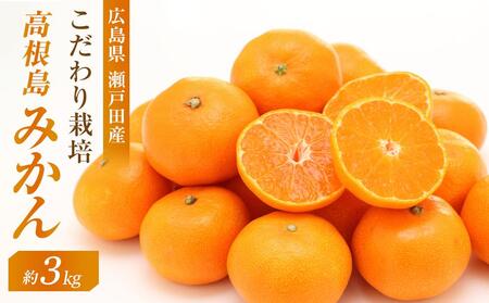 こだわり栽培 高根島みかん 3kg [2025年11月下旬より発送開始]