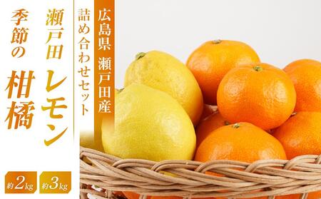 ˓c3ƋG߂̊k22025N11{蔭Jn