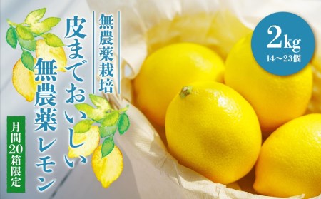 【20箱限定】皮まで美味しい無農薬レモン2�s