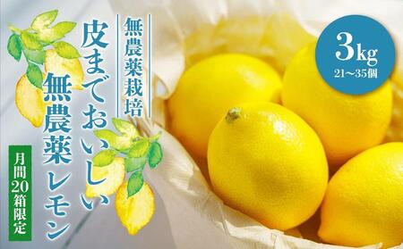 【20箱限定】皮まで美味しい無農薬レモン3kg