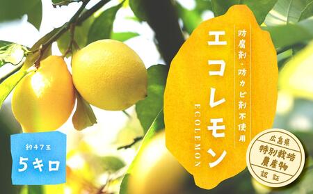 エコレモン5kg -防腐剤・防カビ剤不使用で皮まで安心 広島県特別栽培農産物認証[レモン 柑橘 広島県 尾道市]