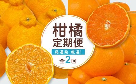 尾道発 厳選！柑橘定期便（全2回）