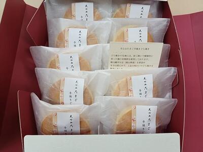 天心山どら焼き(10個入り)[和菓子 菓子 スイーツ どらやき おかし 食品 人気 おすすめ 広島県 福山市]