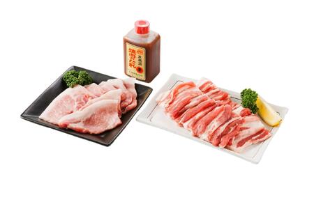 瀬戸内育ち “極上"の豚肉「瀬戸のもち豚せと姫」焼肉セット約700g (バラ400g・ロース300g・自家製焼肉のタレ)[肉 豚肉 焼肉 セット 豚バラ ロース タレ付き スライス 国産 お肉 精肉セット 広島県 福山市]