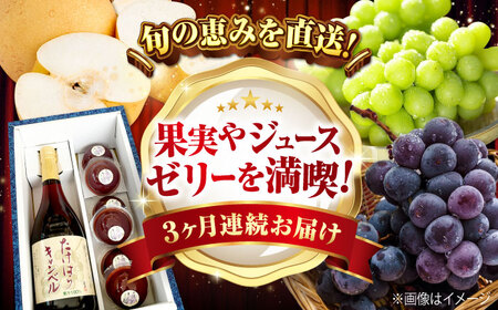 [びんご圏域連携] [全3回定期便 先行予約]フルーツ 定期便 フルーツ (沼隈ぶどう・世羅なし・竹原キャンベル) 広島県福山市/一般社団法人世羅町観光協会 ぶどう 葡萄 なし 梨 ジュース ゼリー 果物 くだもの [BABM001]