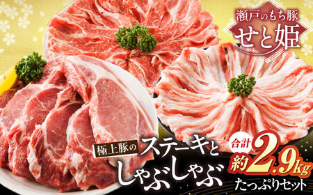 [お中元対象]豚肉たっぷりセット 約2.9kg [BAER024] 豚肉 豚肉 豚肉 豚肉 豚肉