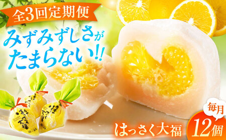 【3回定期便】お菓子 はっさく大福12個入 お菓子 大福 八朔 柑橘 みかん オレンジ 餅 ギフト お取り寄せ スイーツ フルーツ大福 ご当地 菓子 おかし デザート 食品 人気 おすすめ 広島県福山市/株式会社虎屋本舗[BADH014]