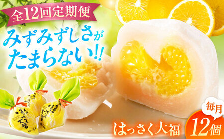 【12回定期便】お菓子 はっさく大福12個入 お菓子 大福 八朔 柑橘 みかん オレンジ 餅 ギフト お取り寄せ スイーツ フルーツ大福 ご当地 菓子 おかし デザート 食品 人気 おすすめ 広島県福山市/株式会社虎屋本舗[BADH016]