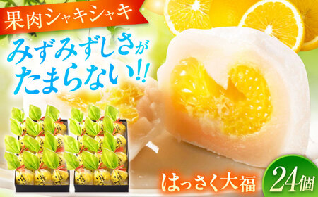 お菓子 はっさく大福12個入×2　 お菓子 大福 八朔 柑橘 みかん オレンジ 餅 ギフト お取り寄せ スイーツ フルーツ大福 ご当地 菓子 おかし デザート 食品 人気 おすすめ 広島県福山市/株式会社虎屋本舗[BADH017]