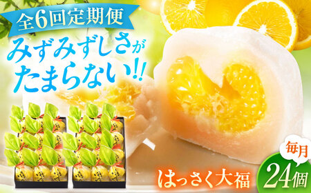 【6回定期便】お菓子 はっさく大福12個入×2　 お菓子 大福 八朔 柑橘 みかん オレンジ 餅 ギフト お取り寄せ スイーツ フルーツ大福 ご当地 菓子 おかし デザート 食品 人気 おすすめ 広島県福山市/株式会社虎屋本舗[BADH019]