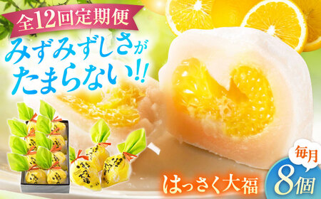 【12回定期便】お菓子 はっさく大福8個入　 お菓子 大福 八朔 柑橘 みかん オレンジ 餅 ギフト お取り寄せ スイーツ フルーツ大福 ご当地 菓子 おかし デザート 食品 人気 おすすめ 広島県福山市/株式会社虎屋本舗[BADH024]