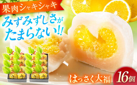 お菓子 はっさく大福8個入×2　 お菓子 大福 八朔 柑橘 みかん オレンジ 餅 ギフト お取り寄せ スイーツ フルーツ大福 ご当地 菓子 おかし デザート 食品 人気 おすすめ 広島県福山市/株式会社虎屋本舗[BADH025]