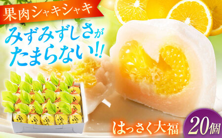 お菓子 はっさく大福20個入　 お菓子 大福 八朔 柑橘 みかん オレンジ 餅 ギフト お取り寄せ スイーツ フルーツ大福 ご当地 菓子 おかし デザート 食品 人気 おすすめ 広島県福山市/株式会社虎屋本舗[BADH029]