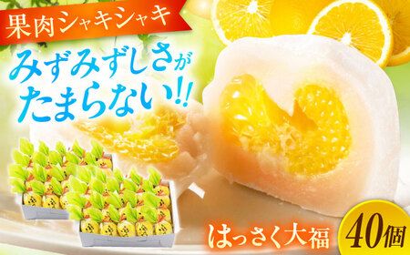 お菓子 はっさく大福20個入×2　 お菓子 大福 八朔 柑橘 みかん オレンジ 餅 ギフト お取り寄せ スイーツ フルーツ大福 ご当地 菓子 おかし デザート 食品 人気 おすすめ 広島県福山市/株式会社虎屋本舗[BADH033]