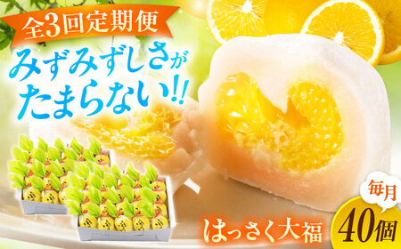 【3回定期便】お菓子 はっさく大福20個入×2　 お菓子 大福 八朔 柑橘 みかん オレンジ 餅 ギフト お取り寄せ スイーツ フルーツ大福 ご当地 菓子 おかし デザート 食品 人気 おすすめ 広島県福山市/株式会社虎屋本舗[BADH034]