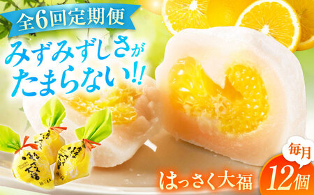 【6回定期便】お菓子 はっさく大福12個入 お菓子 大福 八朔 柑橘 みかん オレンジ 餅 ギフト お取り寄せ スイーツ フルーツ大福 ご当地 菓子 おかし デザート 食品 人気 おすすめ 広島県福山市/株式会社虎屋本舗[BADH015]